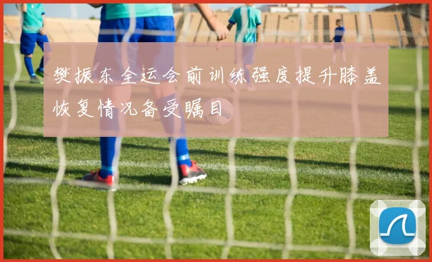 樊振东全运会前训练强度提升膝盖恢复情况备受瞩目
