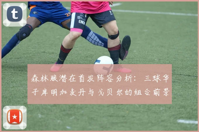 森林狼潜在首发阵容分析：三球华子库明加麦丹与戈贝尔的组合前景如何